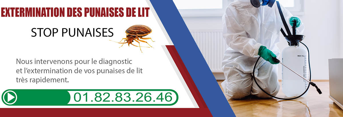 Désinfection Punaise de Lit Montmorency